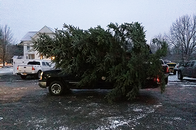 Soliday Tree Farm