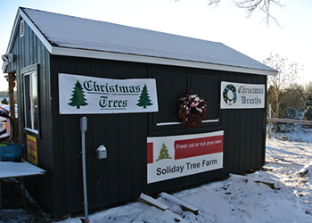 Soliday Tree Farm